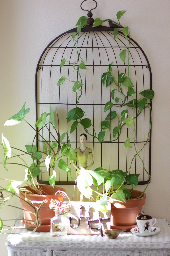 Plants in entryway.