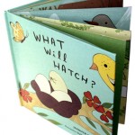 Susie Ghahremani boygirlparty What Will Hatch? cover