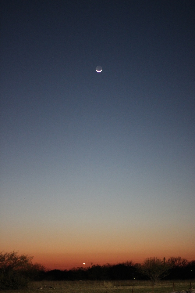 Walking with Cake: Moon over Pflugerville