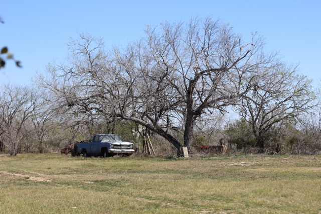 Walking with Cake: Popo's old truck