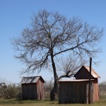 Walking with Cake: Red outbuildings