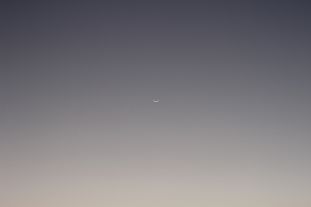 Walking with Cake: The moon