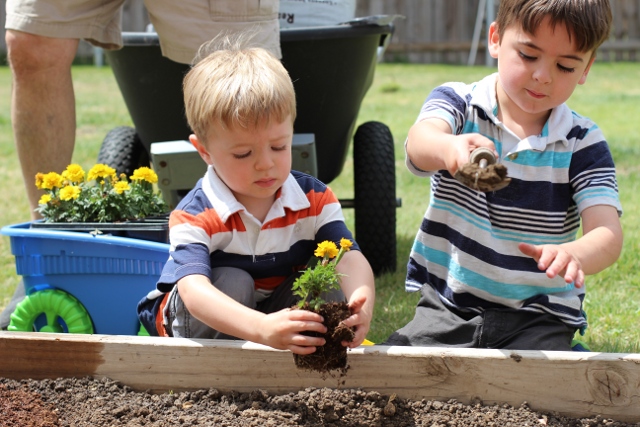 Walking with Cake: Working in the garden