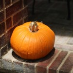 Walking with Cake: Everlasting Pumpkin