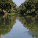 Walking with Cake: San Marcos River