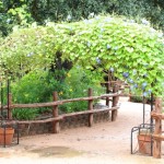 Walking with Cake: Covered archway