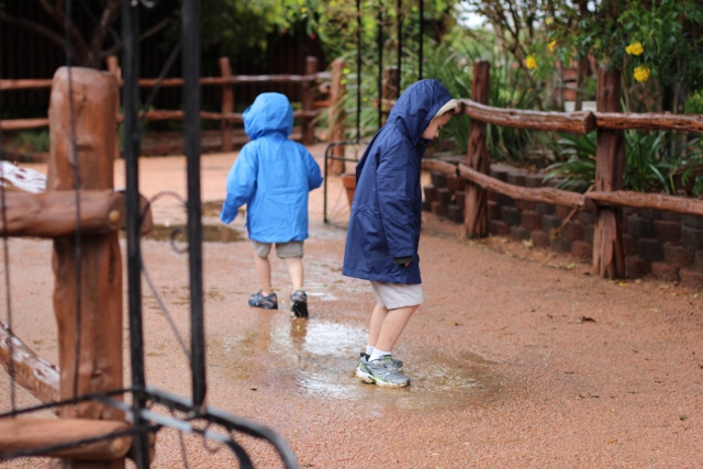Walking with Cake: Puddle jumping