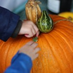 Walking with Cake: Pumpkin vignette