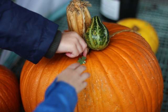 Walking with Cake: Pumpkin vignette
