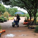 Walking with Cake: Pumpkin wagon
