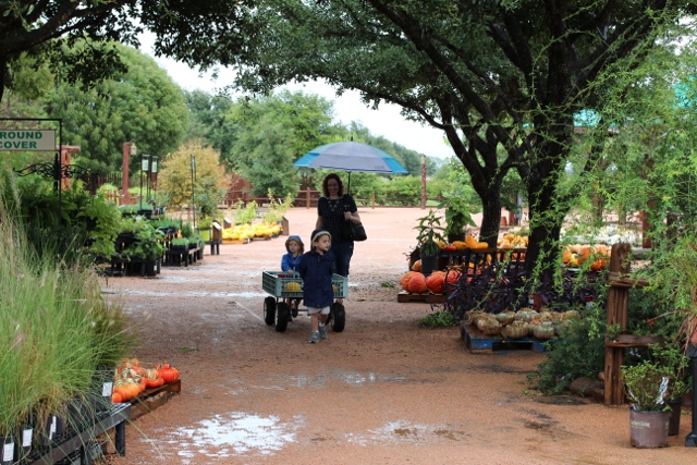 Walking with Cake: Pumpkin wagon