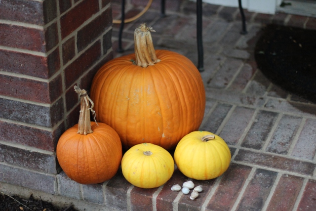 Walking with Cake: Pumpkins on our porch