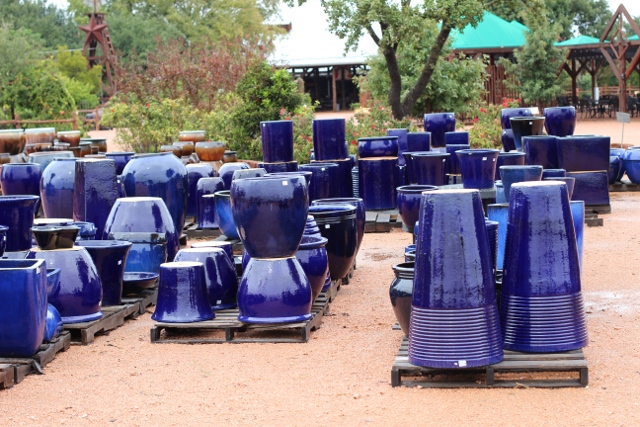 Walking with Cake: Sea of Blue Pots