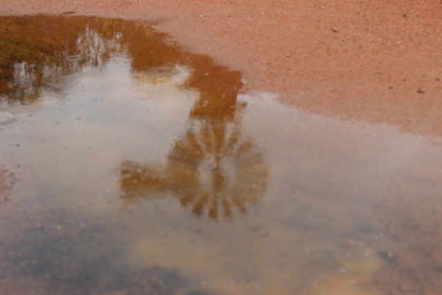 Walking with Cake: Windmill Reflection