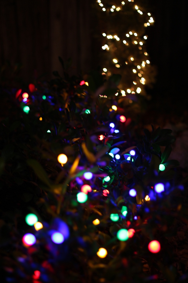 Walking with Cake: Christmas lights