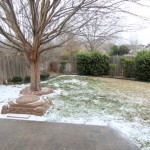 Walking with Cake: Our snowy backyard