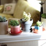 Walking with Cake: Pretty pots