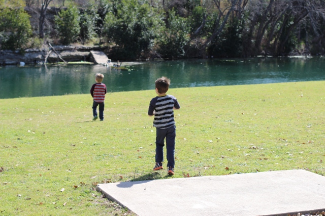 Walking with Cake: Not quite twins