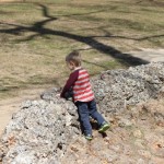 Walking with Cake: Rhys exploring