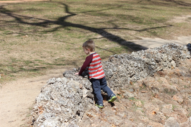 Walking with Cake: Rhys exploring