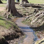 Walking with Cake: little stream