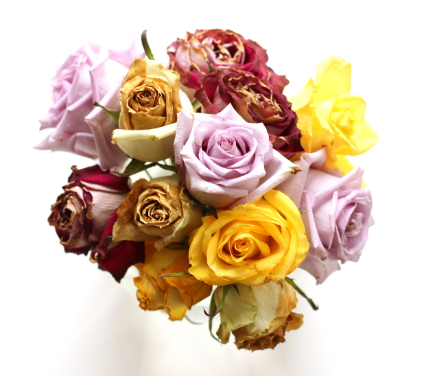 Walking with Cake: Rose bouquet