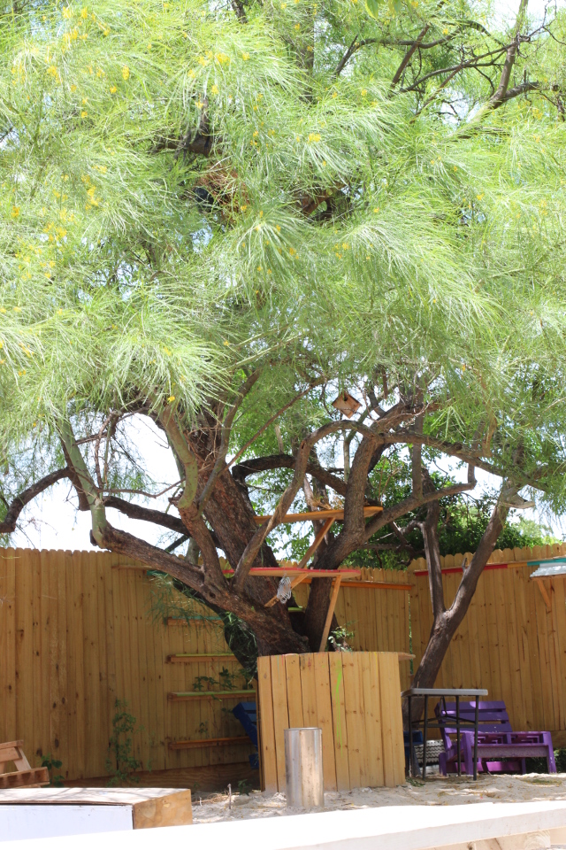 Walking with Cake: Artsy Tree