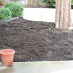 Walking with Cake: Mulch bed