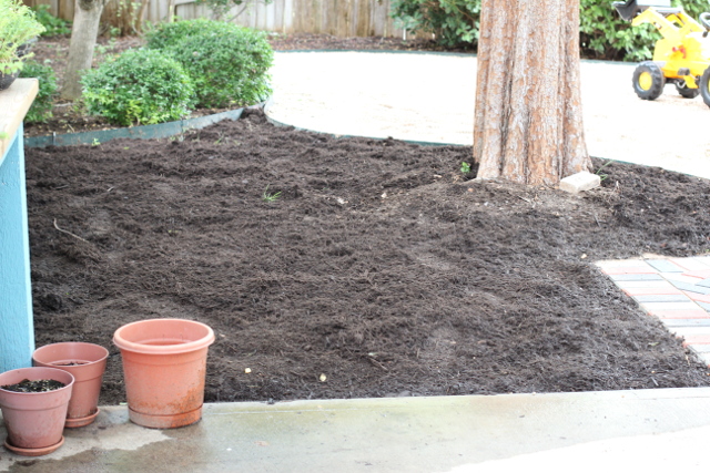 Walking with Cake: Mulch bed