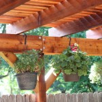 Walking with Cake: Pergola detail