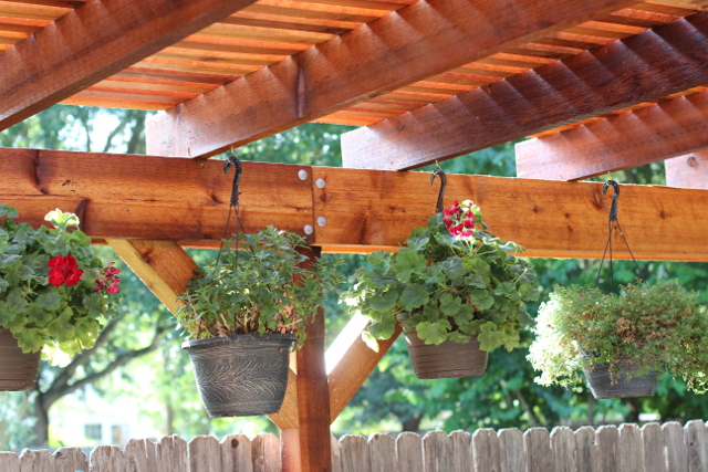 Walking with Cake: Pergola detail