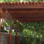 Walking with Cake: Pergola sideview