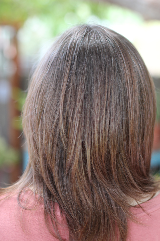 Walking with Cake: Blended Gray hair