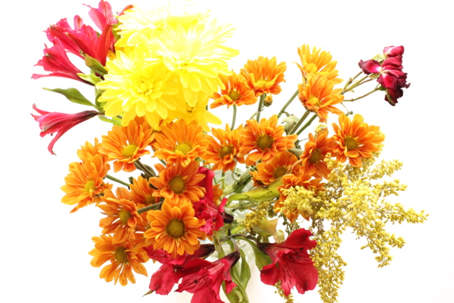 Walking with Cake: Fall Flowers