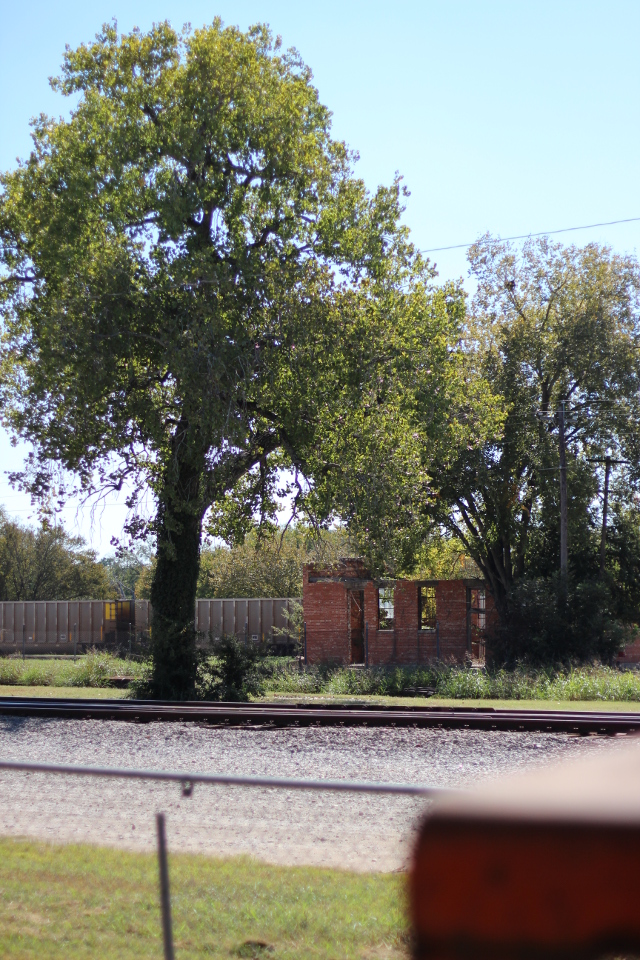 Walking with Cake: Smithville Train Park