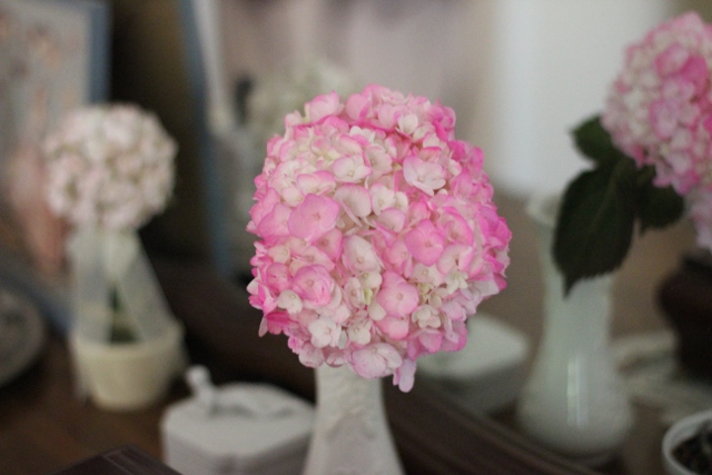 Walking with Cake: Pink hydrangeas