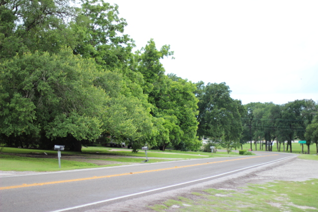 Walking with Cake: Country road