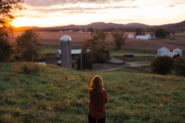 Walking with Cake: Death_to_stock_photography_farm_10