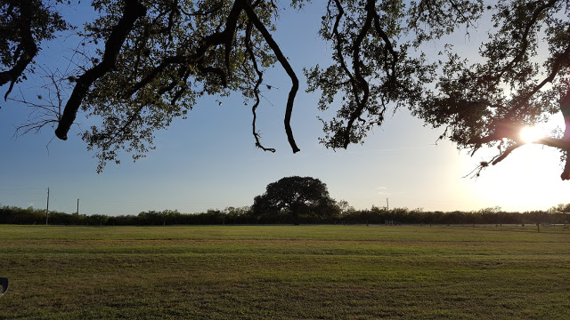 Walking with Cake: farm at sunset