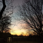 (The sunrise on Christmas morning. I snapped this when I took Marnie out first thing.)