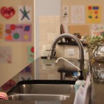 (We chose a stainless undermount sink to contrast with the granite.)