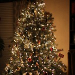 (And finally, our beautiful tree, glowing at night.)