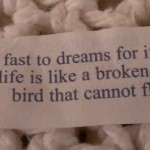 “Hold Fast to Dreams”