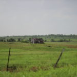 (A field near my town. But there are buzzards on that old barn.)