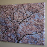 (This beautiful print by Photowall brightens up our narrow hallway.)